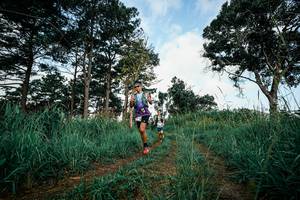 BIB: 
                            <button type="button" onclick="openModal(26009805)" class="btn btn-primary btn-sm float-right btn-popup" data-toggle="modal" data-target=".modal-high-quality">
                        <i class="fas fa-shopping-cart"></i> Add to Cart
                    </button>
                                            <button type="button" onclick="isThisMe(26009805, true)" class="btn btn-success btn-sm float-right btn-popup btn-isme hidden" data-toggle="tooltip" data-placement="bottom" title="นี่คือรูปของคุณใช่ไหม คลิกที่นี่เพื่อเอาเข้าอัลบั้ม">
                        <i class="fas fa-plus"></i> Add to album
                    </button>
                    <button type="button" onclick="isThisMe(26009805, false)" class="btn btn-warning btn-sm float-right btn-popup btn-isnotme hidden">
                        <i class="fas fa-ban"></i> Remove from album
                    </button>